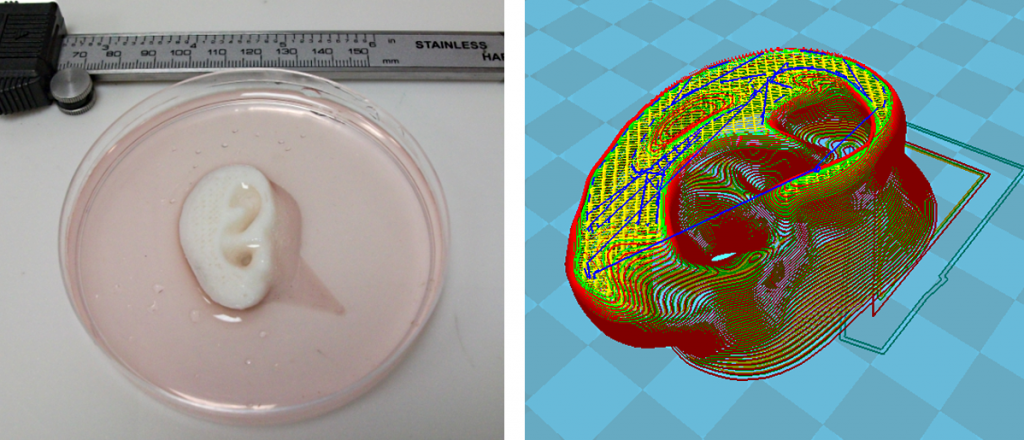مهندسان 3D Print Celleron برای تکثیر بافتهای پیچیده