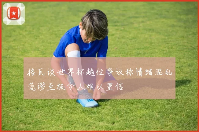 格瓦谈世界杯越位争议称情绪混乱荒谬至极令人难以置信