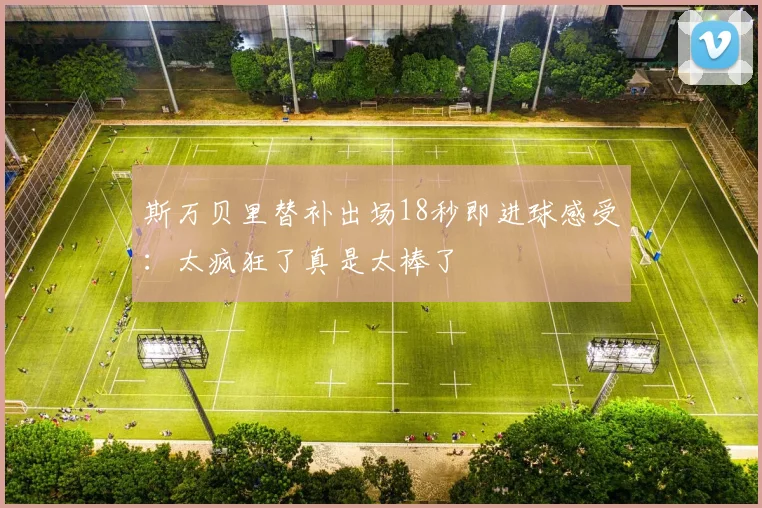 斯万贝里替补出场18秒即进球感受:太疯狂了真是太棒了