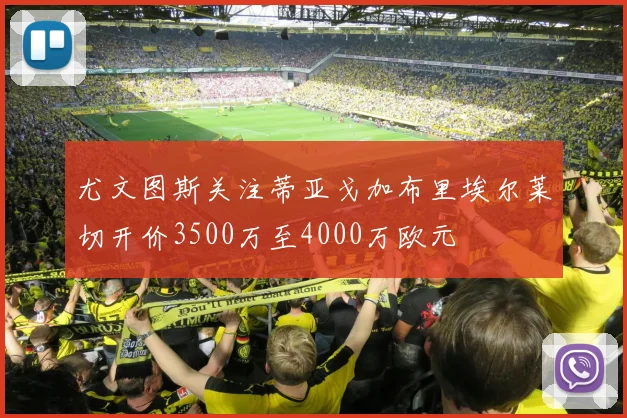 尤文图斯关注蒂亚戈加布里埃尔莱切开价3500万至4000万欧元